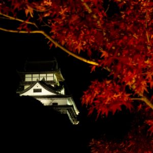 026_Chateau d'Inuyama